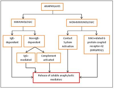 Identification of Soluble Mediators in IgG-Mediated Anaphylaxis via Fcγ Receptor: A Meta-Analysis